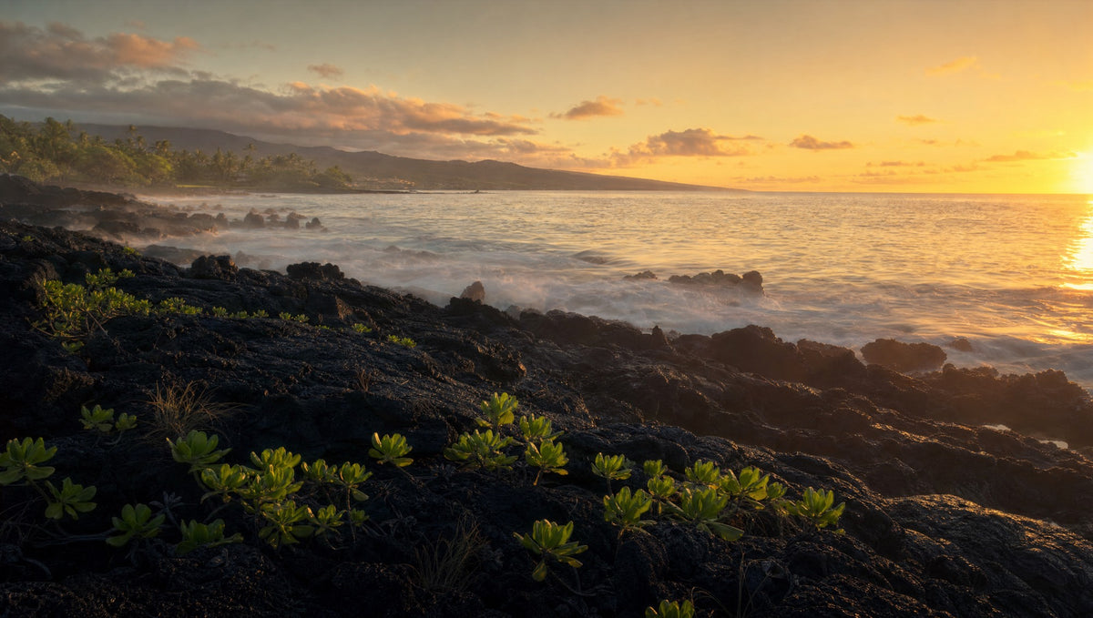 Dawn over the Maui coastline