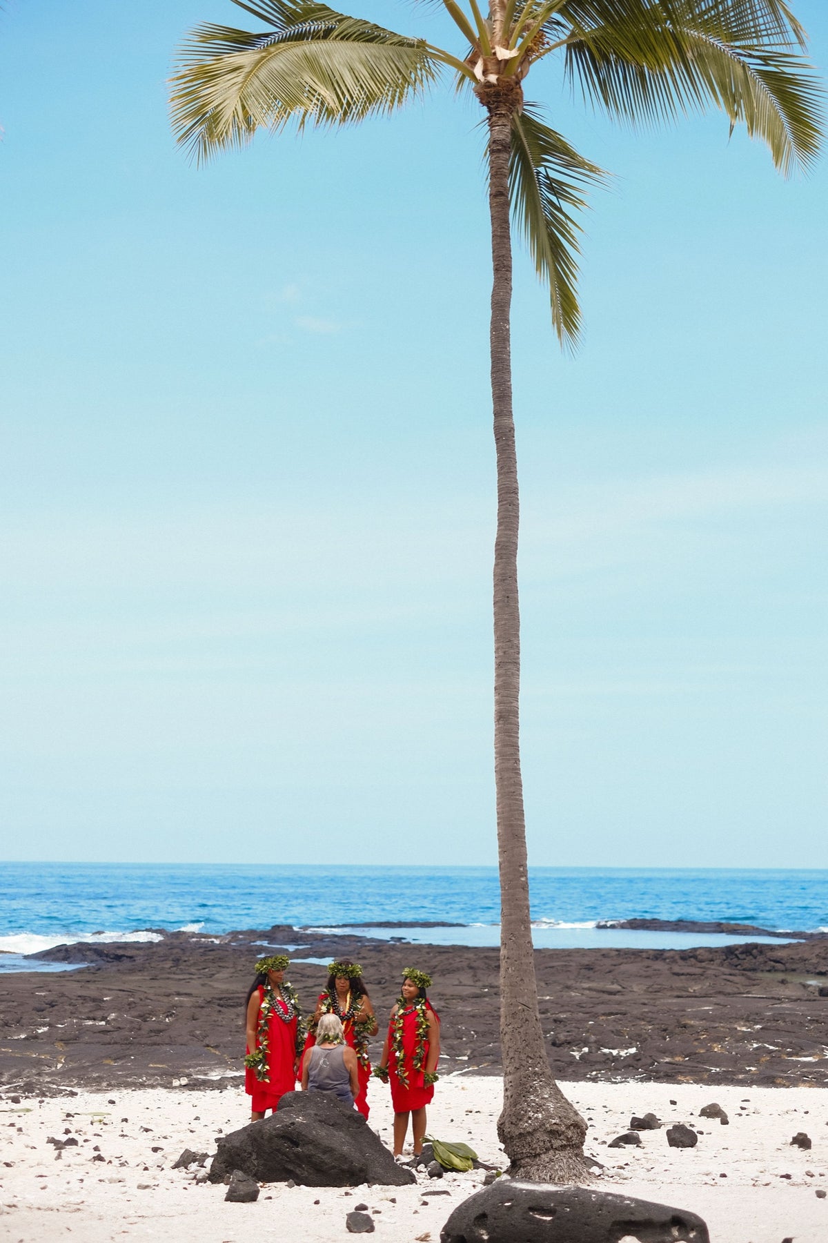 Palms against a bright Hawaiian sky