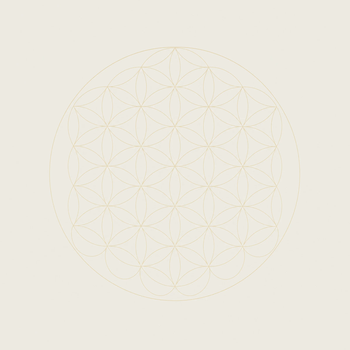 A single Flower of Life roundel in pale gold hairlines